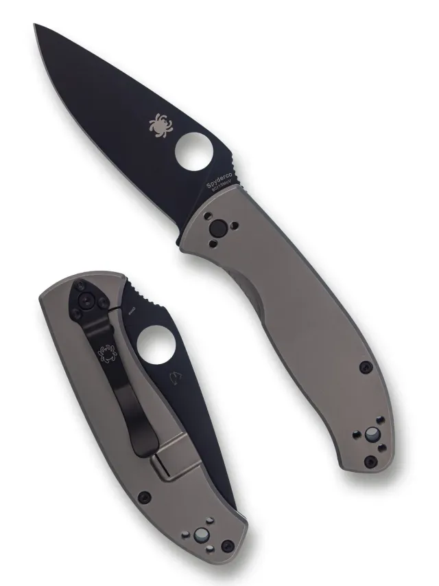Spyderco Tenacious Titanium Klappmesser Black R.I.L.