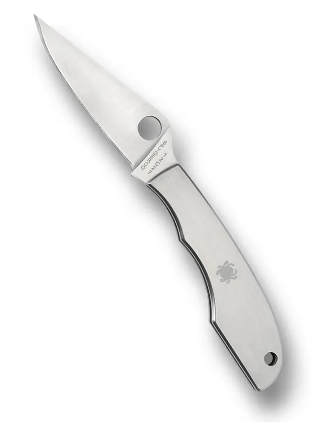 Spyderco Grasshopper Taschenmesser Edelstahl Glatt