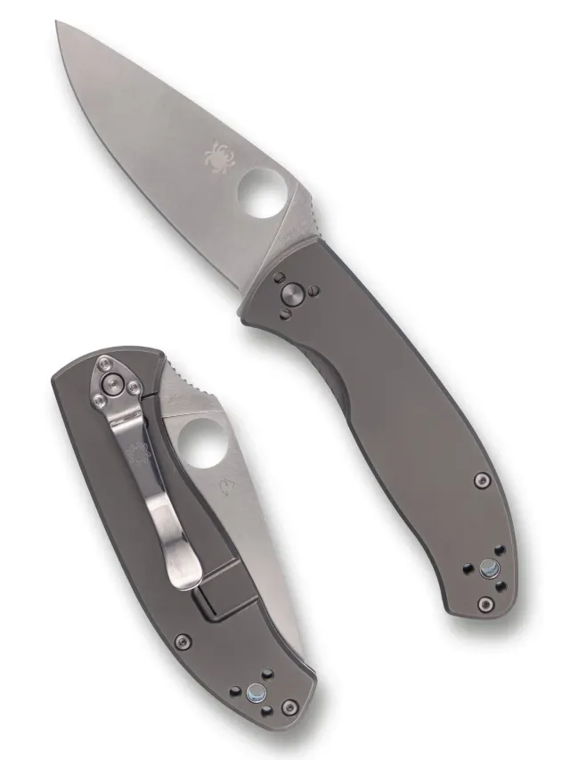 Spyderco Tenacious R.I.L. Taschenmesser Titan 8Cr13MoV